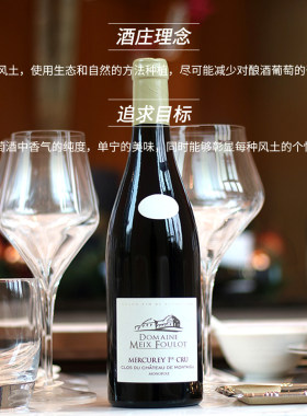 法国葡萄酒勃艮第黑皮诺
