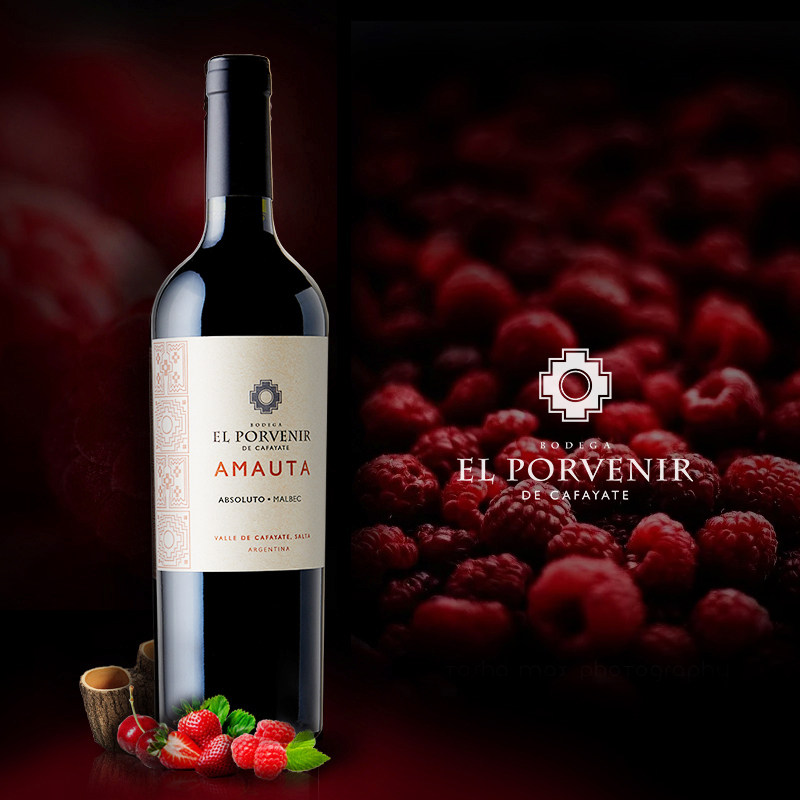 阿根廷经典 奥苏马尔贝克果味干红 重口味浓郁丹娜萨尔塔高海拔