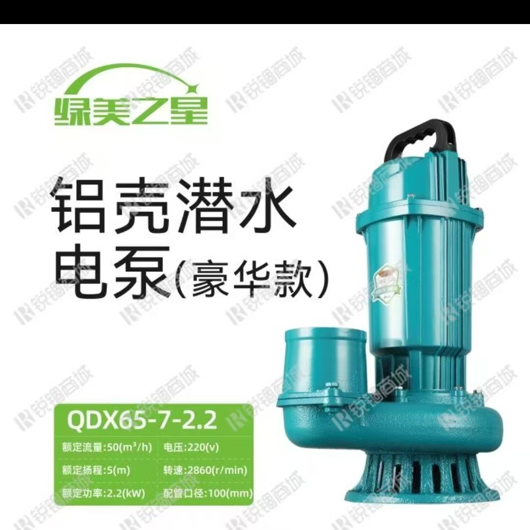 抽水泵电动泵潜水泵家用水泵污水泵