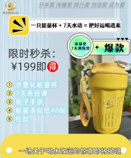 正品转念财富日记水显化能量杯水显化水杯+7天水显化训练营可复训