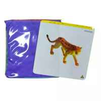 dice pocket is a card-inserting dice game activity teaching aid thumbnail 5