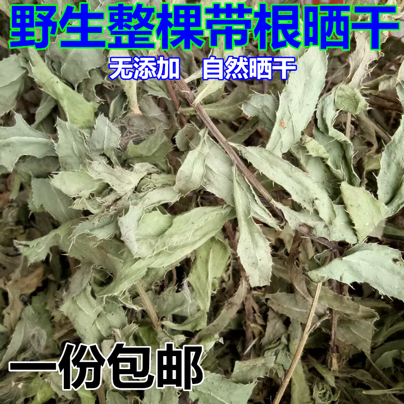 野生小蓟干新鲜晒干全草带根花新货刺角芽七七菜250克包邮