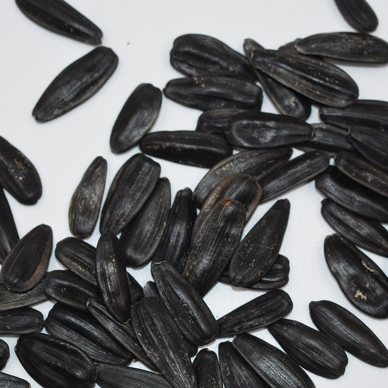 黑瓜子黑美人星火葵花籽大颗粒散装内蒙特产精品生熟原味瓜子新货
