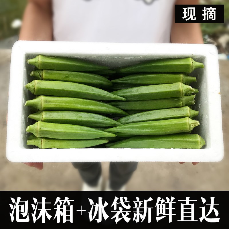 发货快【自家种的】带箱3斤鲜嫩蔬菜水果黄秋葵新鲜秋葵现摘现发