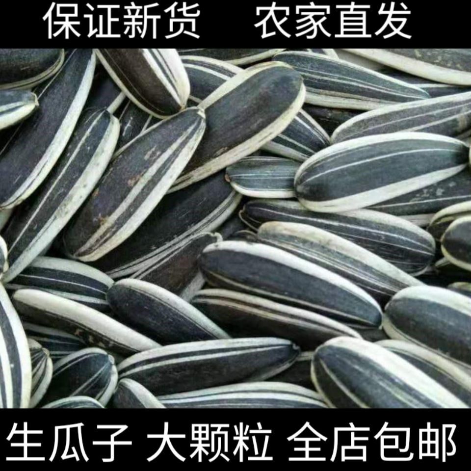 生瓜子生葵花籽新货10斤大包装瓜子散装发批生葵瓜子毛嗑大颗粒新