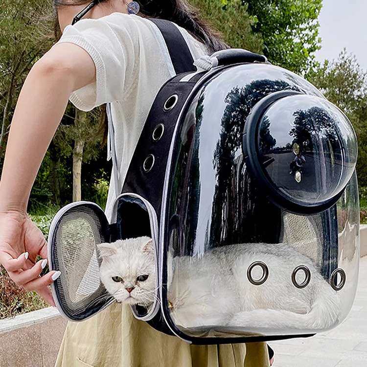 宠物猫包透明天窗外出包便携出门背包/箱包