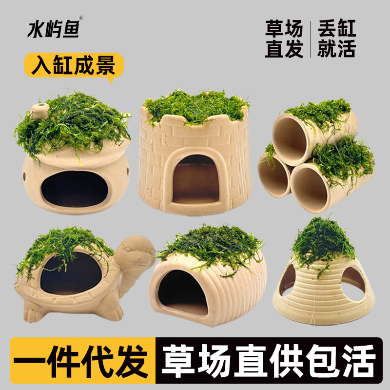 鱼缸莫斯陶罐水草造景真植物鱼虾躲避罐虾屋小摆件小鱼繁殖躲避屋