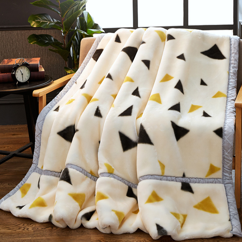 厂家直供 单双层超柔加厚保暖单双人毯子卡通拉舍尔儿童学生毛毯