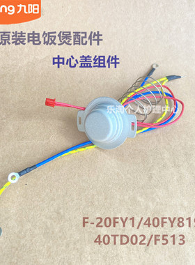 九阳电饭煲配件20FY1/40FY819/40TD02/F513/20F081L中心盖40N5