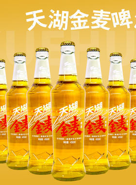 天湖啤酒金麦450ml玻璃瓶