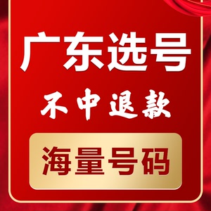 广东揭阳汕尾湛江茂名新能源汽车辆自编自选汽车牌照选号