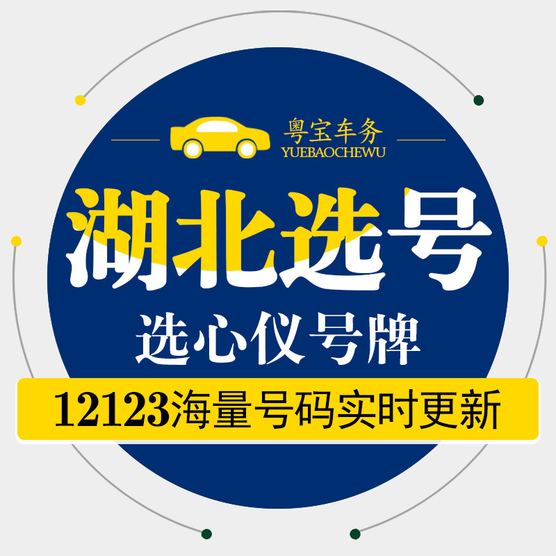 武汉鄂州荆州随州咸宁汽油新能源汽车自编自选汽车牌选号车牌选号