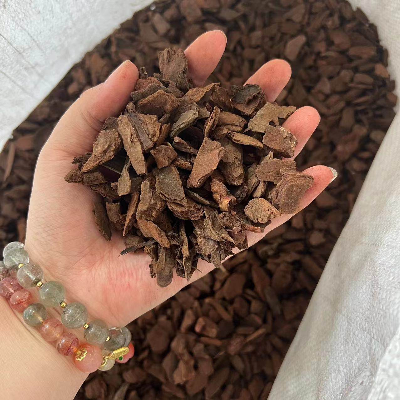 识兰发酵腐熟树皮易生根图片