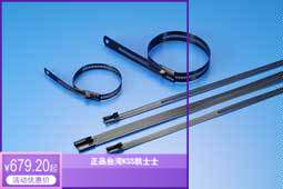原装KSS 凯士士 不锈钢烤漆扎带 BSTC-679L 100pcs一包