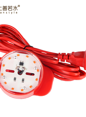 上善若水 大红灯笼专用led灯 灯笼线新年过年春节灯笼led灯插电线