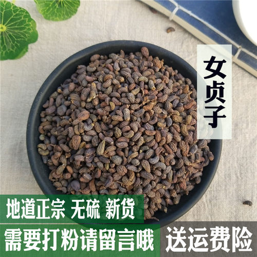 野生女贞子旱莲草中药材