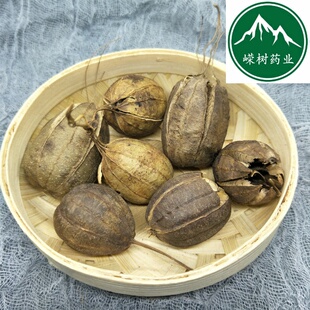中药材 马兜铃 500克包邮 水马香果 葫芦灌 马兜零 臭铃铛