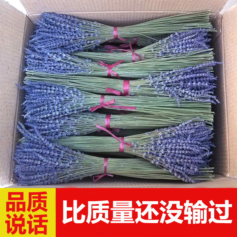 赖希薰衣草干花束出口 新疆薰衣草天然真花香薰女友礼物