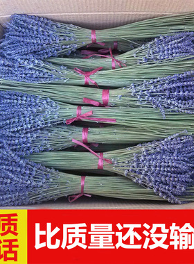 赖希薰衣草干花束出口 新疆薰衣草天然真花香薰女友礼物