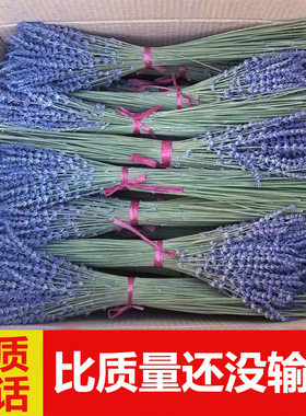 赖希薰衣草干花束出口 新疆薰衣草天然真花香薰女友礼物