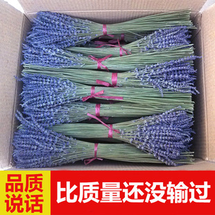 赖希薰衣草干花束出口 新疆薰衣草天然真花香薰女友礼物