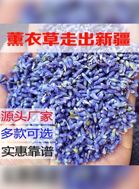 薰衣草干花粒散装填充香包枕头香薰新疆熏衣草精油天然香料