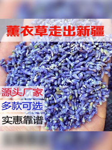 薰衣草干花粒散装填充香包枕头香薰新疆熏衣草精油天然香料