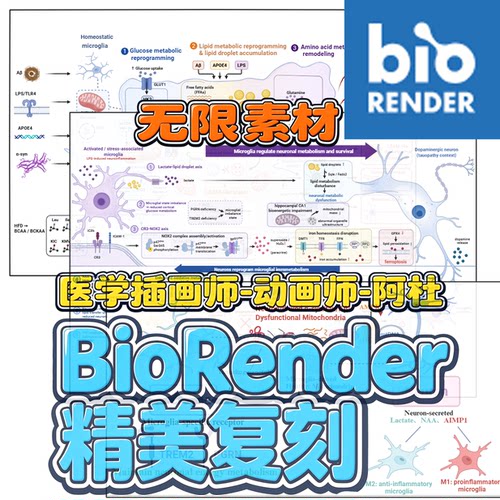 图像复刻重绘 - BioRender无敌矢量化 可平台 可永久离线素材库
