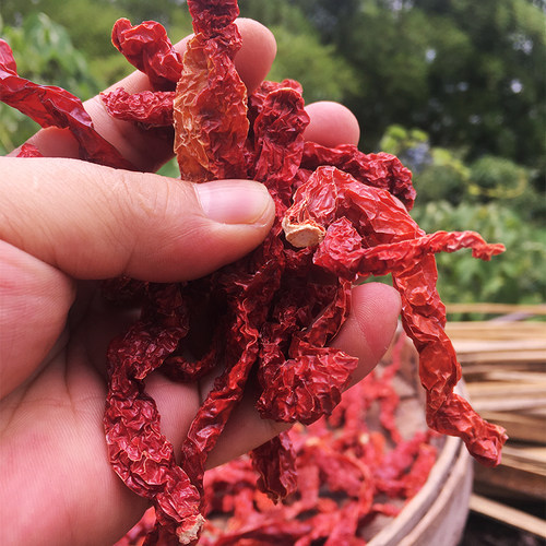 湖南炎陵农家自晒调料二荆条500g