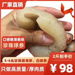 厂家直销白球参新鲜冷冻水发海参珍珠球参佛跳墙食材酒店宴席包邮