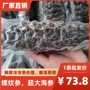 螺纹参新鲜冷冻干货泡发好的海参开袋即煮即食水发螺纹参酒店包邮