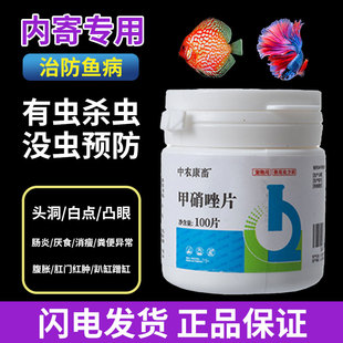 甲硝唑龙鱼观赏鱼药内外寄头洞凸眼小瓜虫白点肠炎趴缸腹水大白片