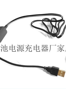 索尼DCR-SR40E SR42E SR45E SR47E 摄像机电源适配供电器AC-L200