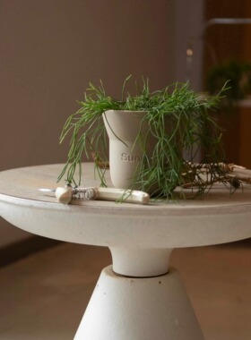 Earth plant 细叶丝苇植物小众北欧简约风盆栽四季常绿北欧桌面