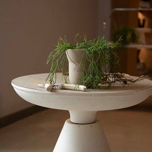 Earth plant 细叶丝苇植物小众北欧简约风盆栽四季常绿北欧桌面