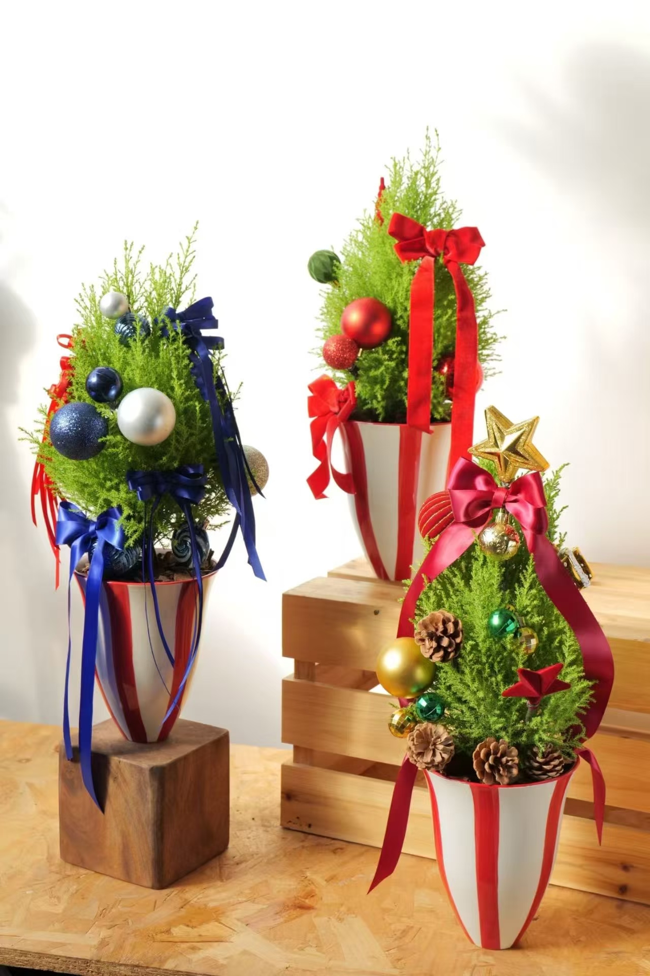 香松圣诞树室内净化空气