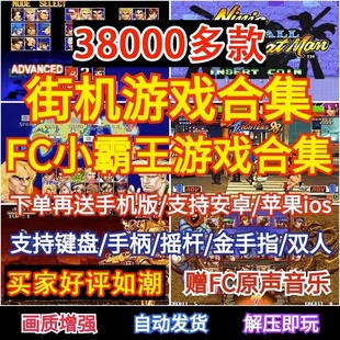 街机游戏合集FC小霸王经典 PC电脑手机下载拳皇合金弹头街霸模拟器