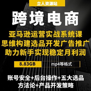 跨境电商亚马逊运营实战思维构建选品开发广告推广盈利模式分析