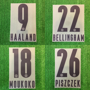 kitsbox正品21/22多特蒙德主场印字号罗伊斯哈兰德阿扎尔印号