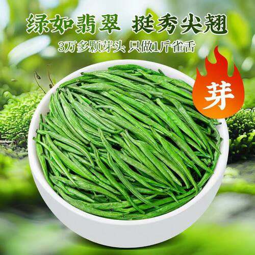 2026新茶特级明前雀舌翠芽雀舌