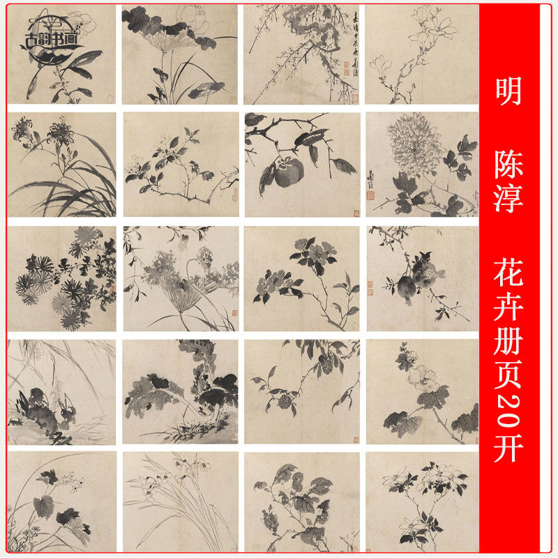 装饰画明陈淳花卉册页20开