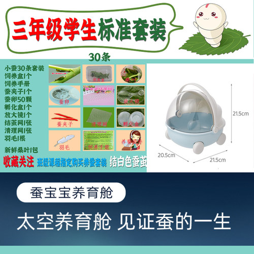 小学生科学养蚕送全套工具送蚕卵