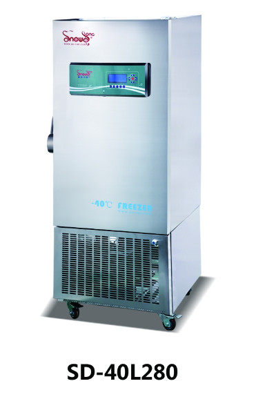 全国联保雪颂280升立式-40℃风冷急速冻冰柜箱不锈钢医用食用