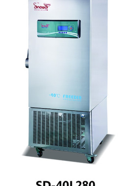 联保雪颂180升280升立式-40℃风冷速冻工业医用恒温试剂实验冰箱