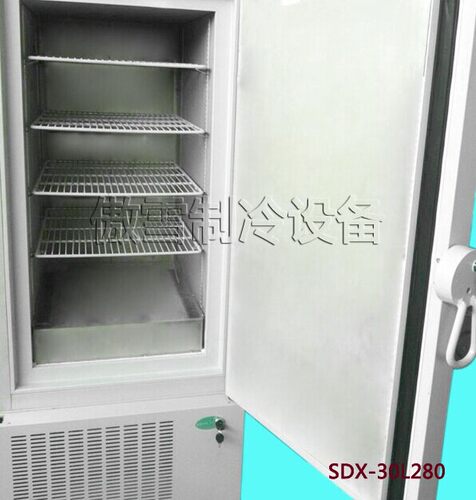 全国联保雪颂180升立式-40℃风冷急速冻冰柜箱不锈钢医用食用直销