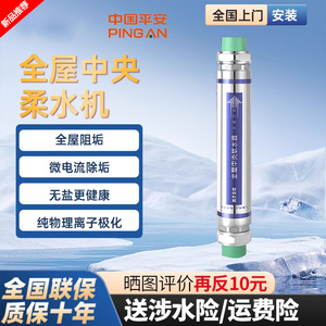 德国中央柔水器软水器10T大流量阻垢净水机软水机全屋前置过滤器