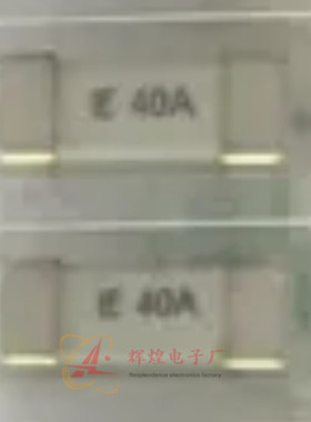 进口原装 0456040.DR 保险丝