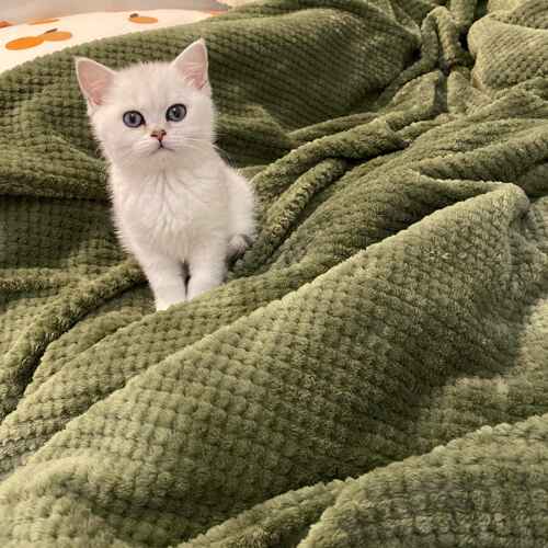 沙发盖毯毛毯被子夏天小毛毯单人午睡被子空调加厚法兰绒