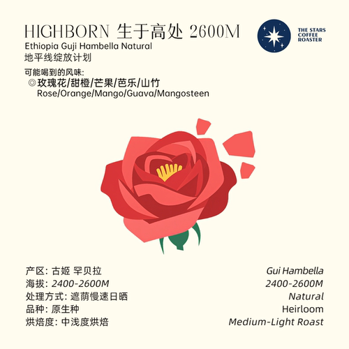 地平线绽放计划 Highborn 2600m日晒埃塞手冲单品咖啡豆 星辰咖啡