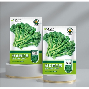 正品新种西兰苔种子绿西兰苔有机西洋芥兰田园庭院种植蔬菜苔种子